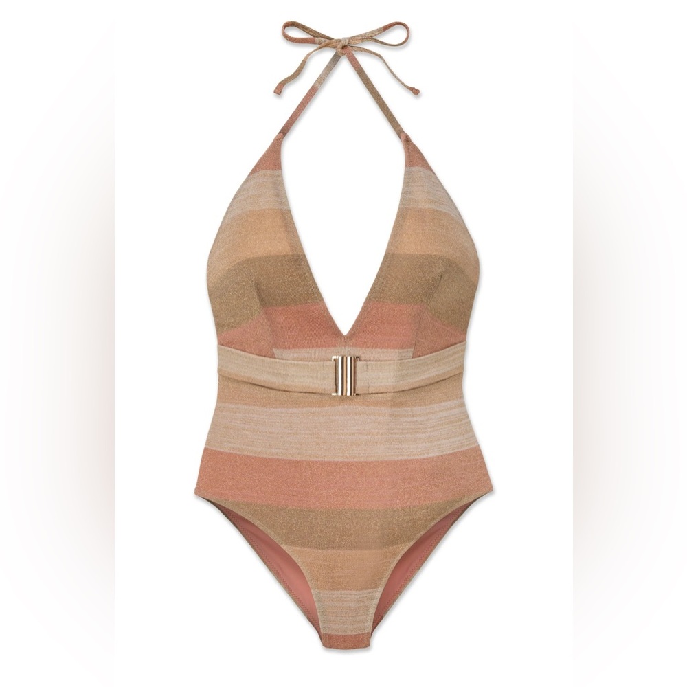 Wet Metallic Stripe Seraphina One Piece Swimsuit ✨ NWT 🐚